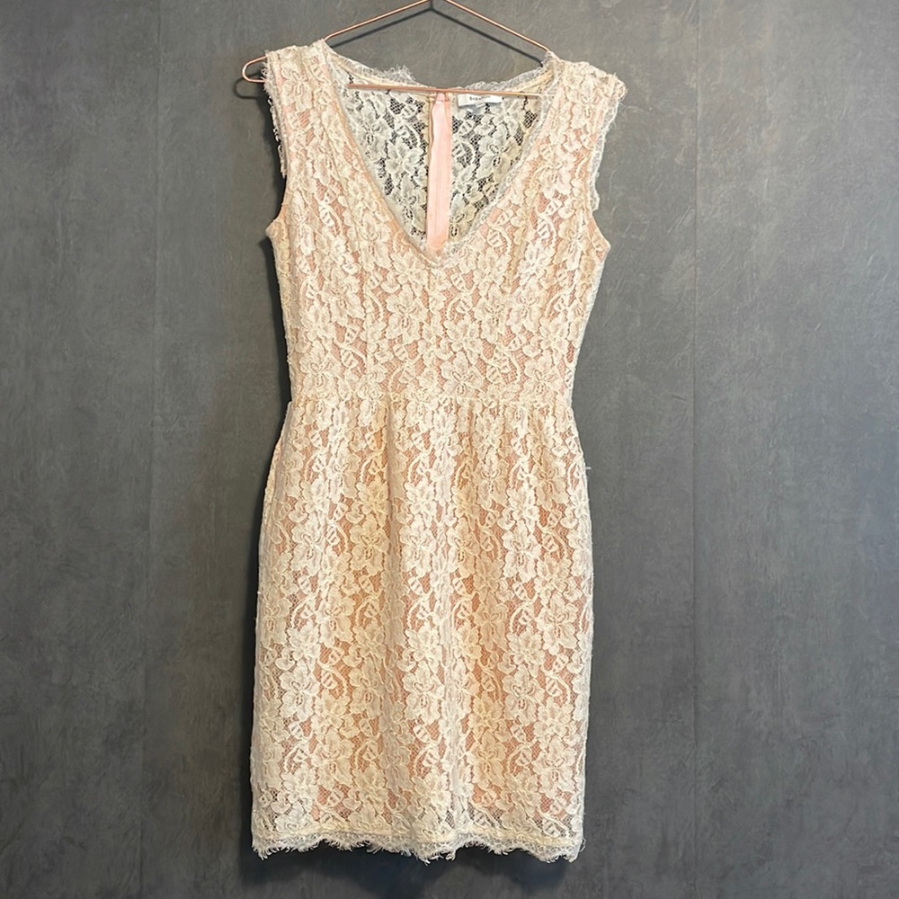 Aritzia Babaton Lace Dress